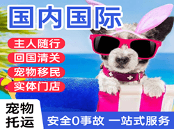 永兴航空空运国际宠物托运 【国
